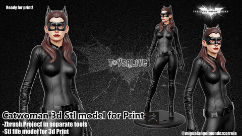 CATWOMAN (SELINA KYLE) FROM THE DARK KNIGHT RISES MOVIE