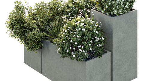 HQ Tree and bush garden box outdoor VOL 10