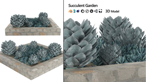 High-Quality Succulent Garden Square Planter 3D Model