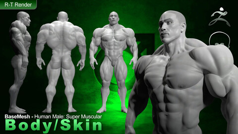 Human Male [ Body/Skin Basemesh ] Super Muscular