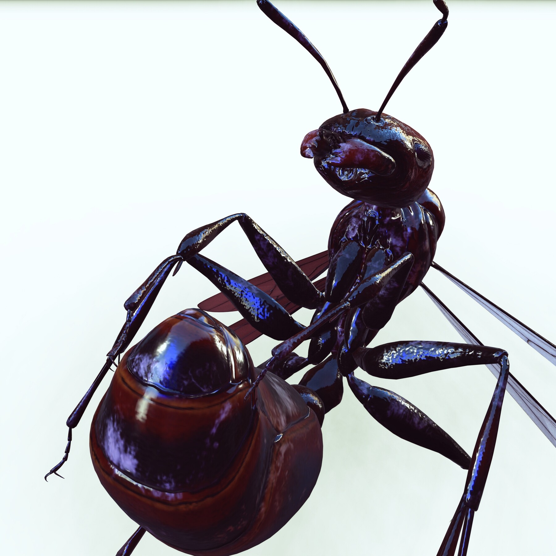 ArtStation - DOWNLOAD ANT 3D MODEL ANIMATED - BLENDER - 3DS MAX ...