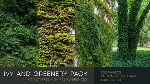 IVY AND GREENERY PACK