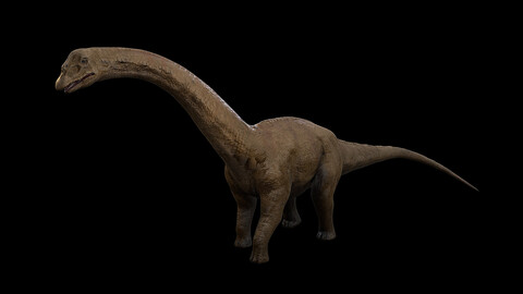 Sauropoda - Long Neck Dinosaur - Ngchipv