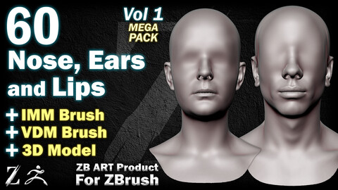 60 ZB ART Male and Female Nose, Ears and Lips For ZBrush (IMM Brush + VDM Brush + 3D Model) - Vol 1