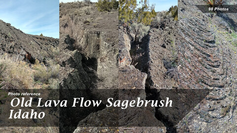 Old Lava Flow Sagebrush Idaho