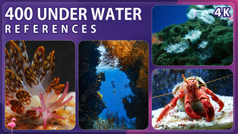 400 Under Water Reference Pack – Vol 1