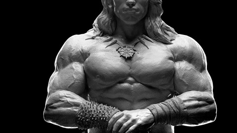 Conan Arnold Schwarzenegger Stand pose