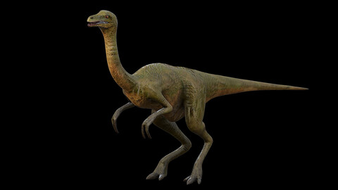 Gallimimus | The Chicken Mimic | Ngchipv