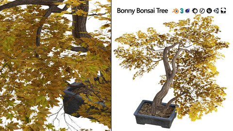Yellow Bonny Bonsai Low Poly 3D Model