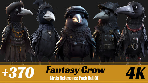 +370 Fantasy Crow | 4K | Birds Reference Pack Vol.07