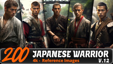 JAPANESE WARRIOR VOL. 12/ 4K/ Reference Image