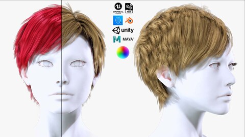 Realistic Short Female Hair Pixie