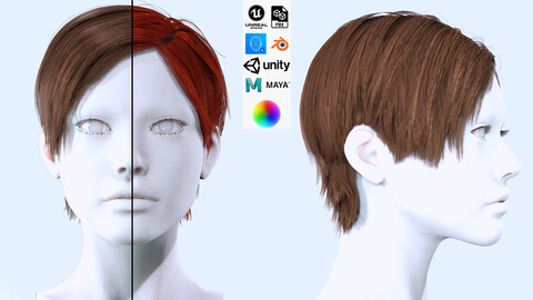Realistic Short Hairstyle Female