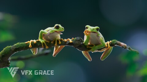 Tree Frog Animated | VFX Grace