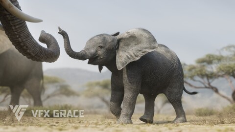 Young African Elephant Animated | VFX Grace