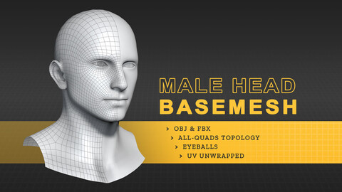 Male Head Basemesh