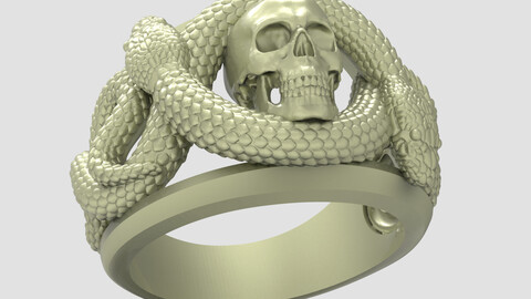 Skull Ring-5 3D-print model file