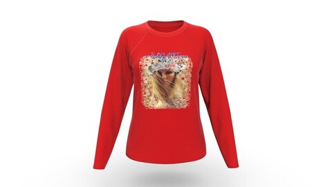 Women Chest Printed LS Raglan Fashion Tee