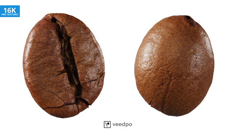 Coffee Bean Photorealistic 3D Scan 01 - Veedpo