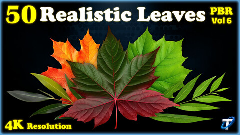 50 Realistic Leaves - PBR Textures (MEGA Bundle) - Vol 6