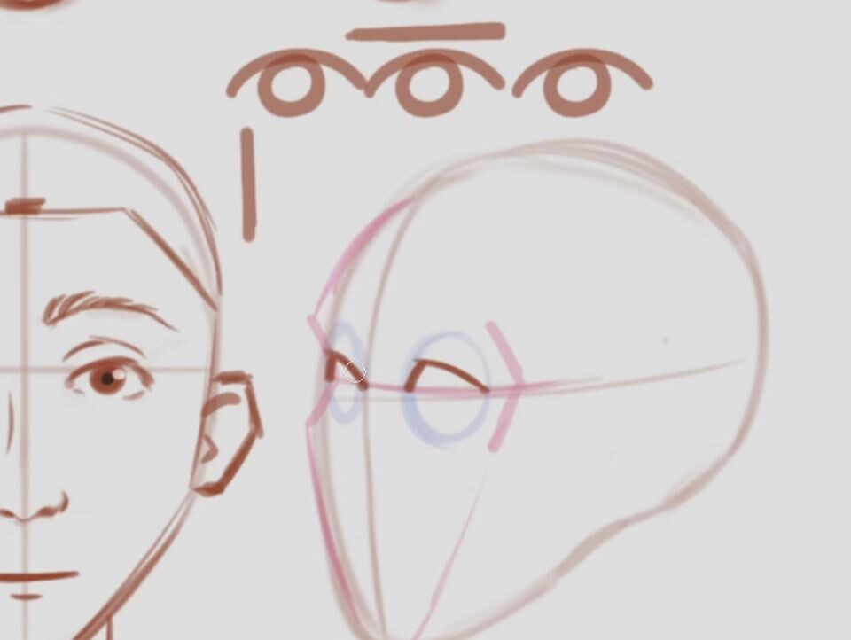 How to Draw Faces For Beginners