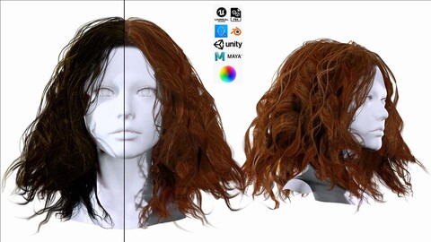 Realistic Female Curly Hair