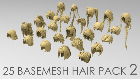 25 basemesh hair pack 2