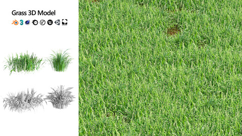 grass 3d model