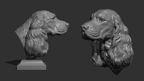 English Cocker Spaniel bust