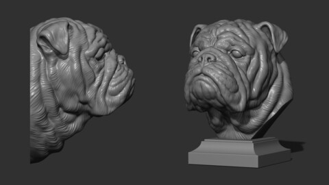 English bulldog bust