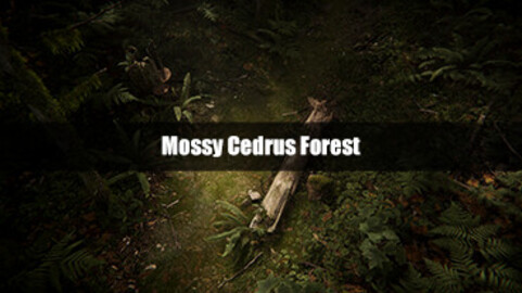 Mossy Cedrus Forest