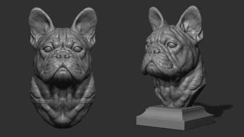 French bulldog bust