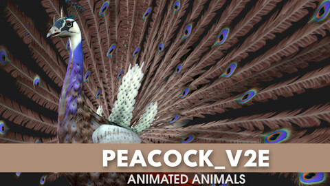 Peacock_V2E