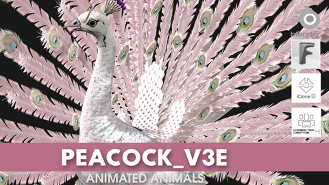 Peacock_V3E