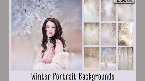 Winter Portrait Backgrounds