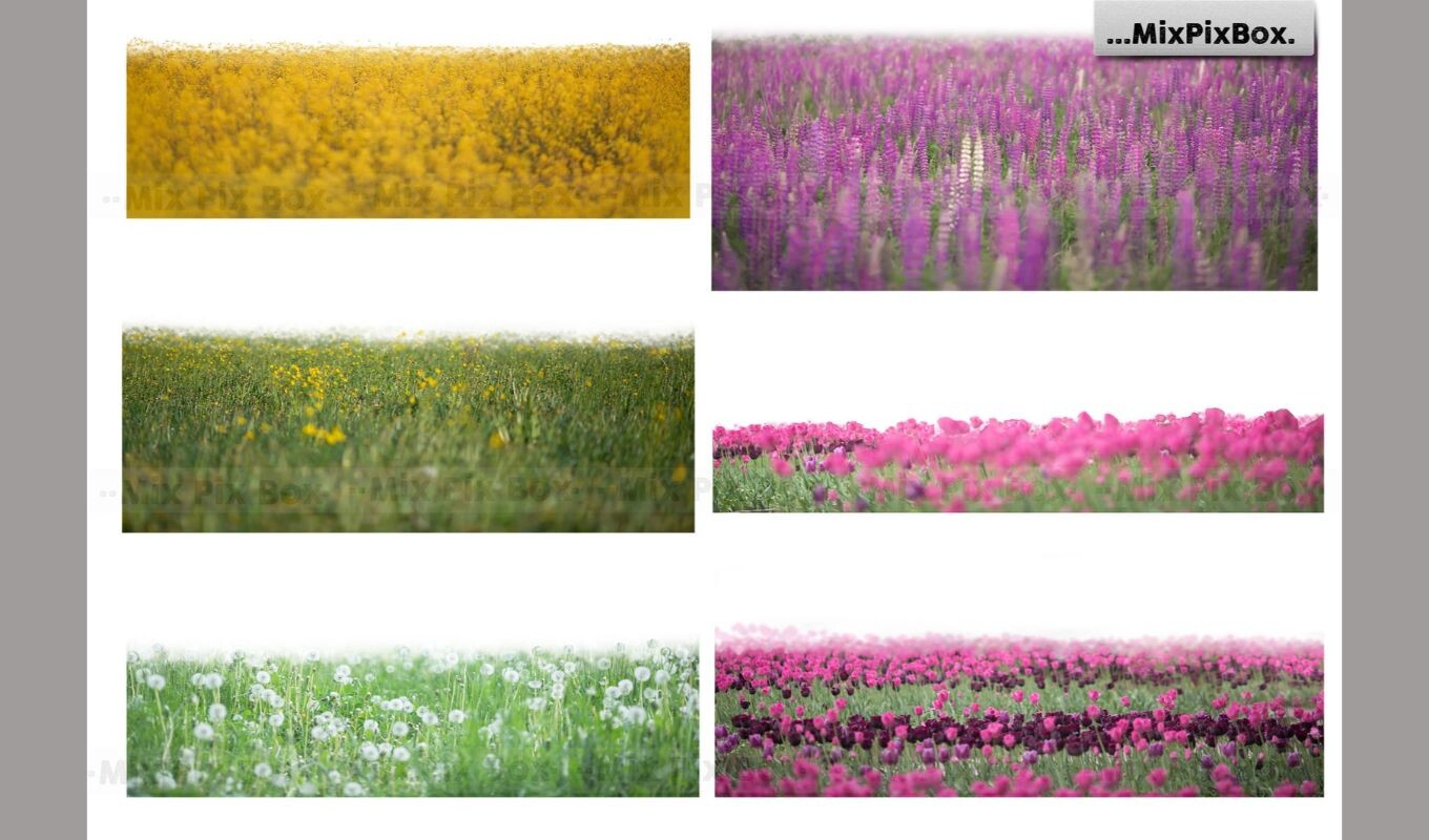 ArtStation - Flowers and Grass Overlays | Resources