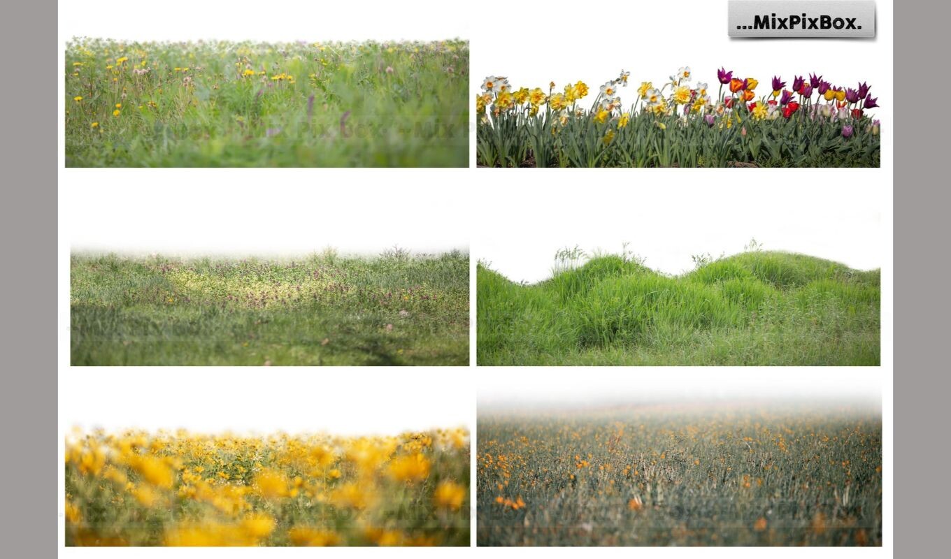 ArtStation - Flowers and Grass Overlays | Resources