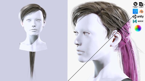 Examiner Ponytail Hair Low-poly