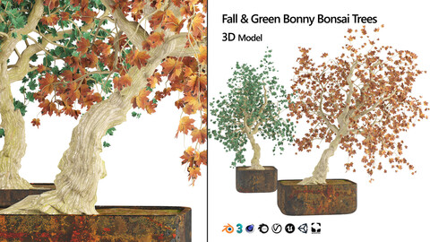 Low poly Fall and Green bonny bonsai pot trees