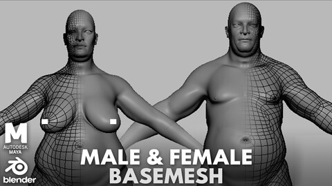 Fat ( Male & Female )  Anatomy BaseMesh - Topology + UV Map