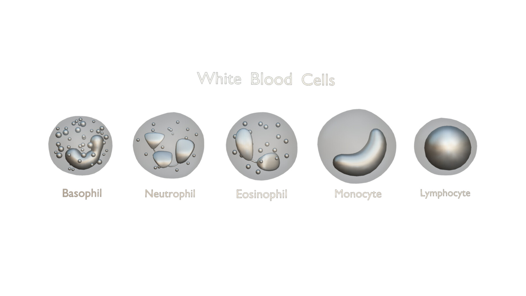 ArtStation - Cells at Work black- white blood cell