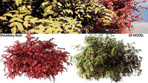 Summer and Burning Shrubbery Bush 3D Model