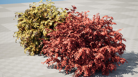 Shrubbery Bush 3D Model for Garden Hose