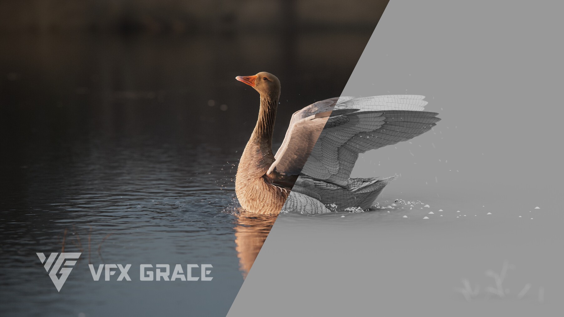 ArtStation - Goose Animation | VFX Grace | Game Assets