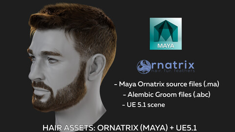 Hair Asset - Ornatrix groom in Maya/ Alembic groom for UE/ Scene UE5