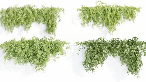 Hanging wall plants collection vol 72-Blender