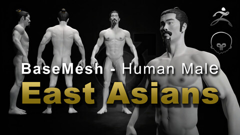 Human Male [ Body/Skin Basemesh ] East Asians