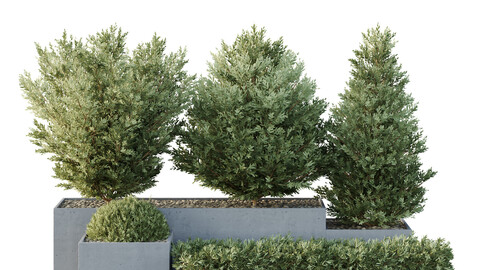 HQ Tree and bush garden box outdoor VOL 27