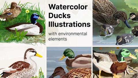 Watercolor ducks illustration with environmental elements