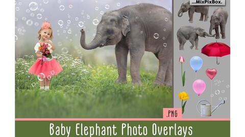 Baby Elephant Photo Overlays